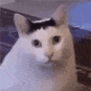 huh animated emote