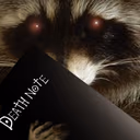 raccoon_deathnote emote