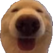 Dwag emote