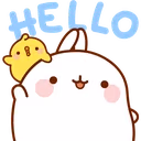 MolangHello emote