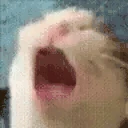 AAAA emoji