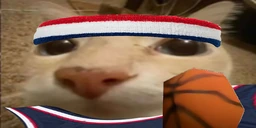 otagBallin emote