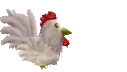 cuccoHop emote