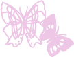 butterfly emote