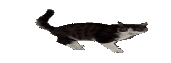 wiresArrive emote