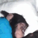 MonkeWokege emote