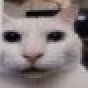 PeaceCat emote