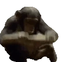 Mods_Monkey_Bash emote