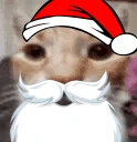 MyHonestReaction emote