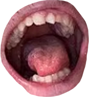 rickymouth emoji