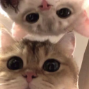 huhu static emote