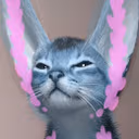 D4Cat emote