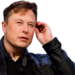 elonwhat emote