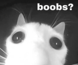 boobs static emote