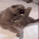 HORNY emote
