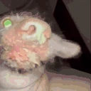 creatureTasty emote