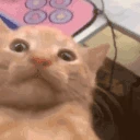 waa emote