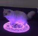 demoncat emote