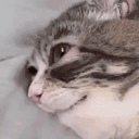 imtired animated emote