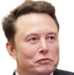 elonlooking static emote