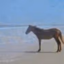 horsemen emote
