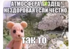 takto emote