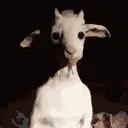 OGEY emote
