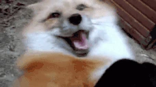 AAAAAA emote