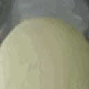 Insertahomie animated emote