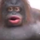 uh_oh_closeup emote