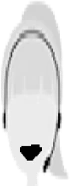 Laura_happy emote