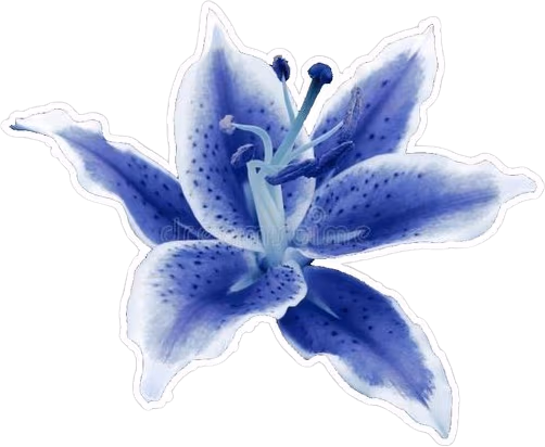 Blueflower emote
