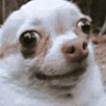 Awkwarddd emote