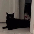 CE_Gone3 emote