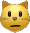 cat_stare emote