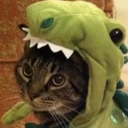 rawr emote