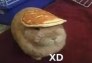 xd emote