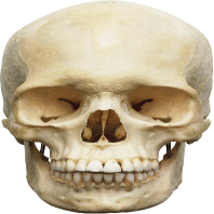 Skull_Reaction