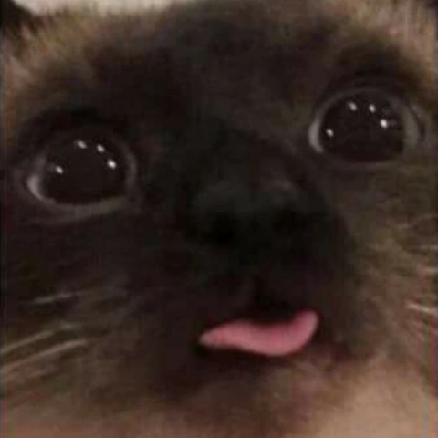 blep emote