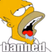 homerbanned emote