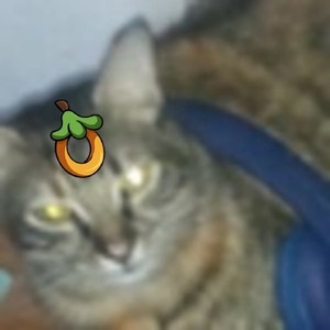 brayanx2 avatar