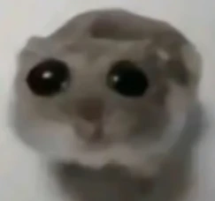 sad_hamster emote