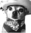 doggiehaw emote