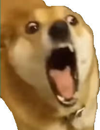 OhNoDog emote