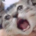 CE_SCREAMMMMMM emote