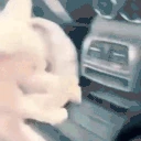 BingusBreakDance emote