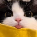 ble emote