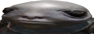 lilbro emote