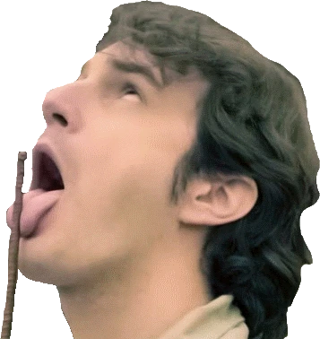 bobsucc emote