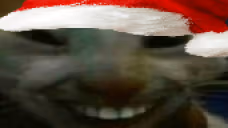 xdd emote